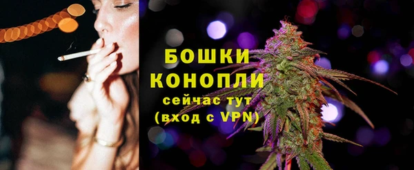 дмт Козельск