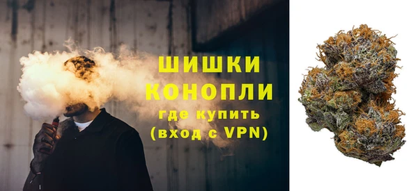 ГАЛЛЮЦИНОГЕННЫЕ ГРИБЫ Кодинск