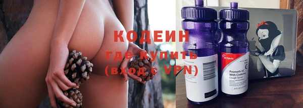 дмт Козельск