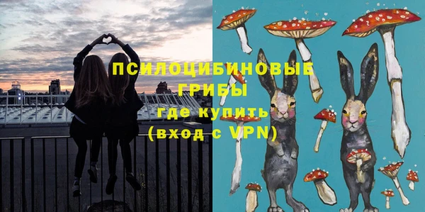 ГАЛЛЮЦИНОГЕННЫЕ ГРИБЫ Кодинск