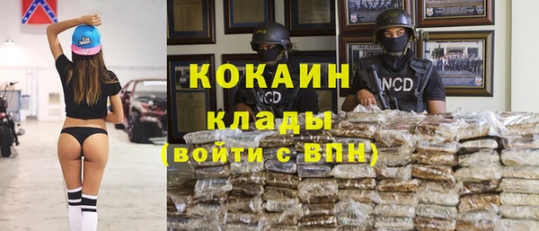дмт Козельск