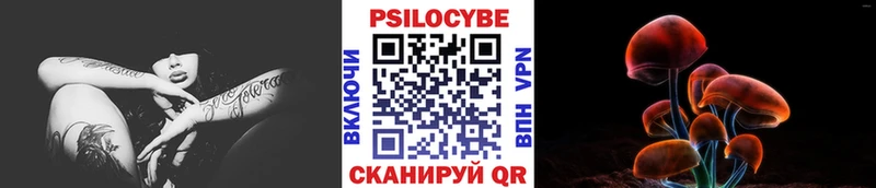 Псилоцибиновые грибы прущие грибы  Купить закладки  Ливны 
