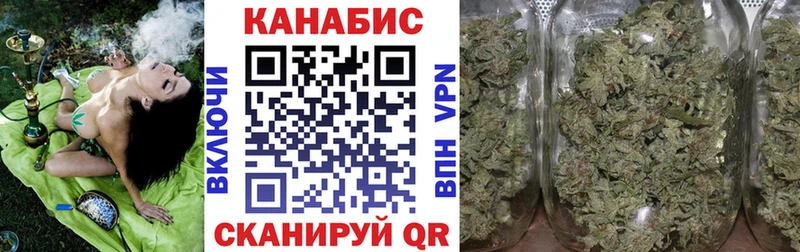 Бошки Шишки план  Купить где  Ливны 